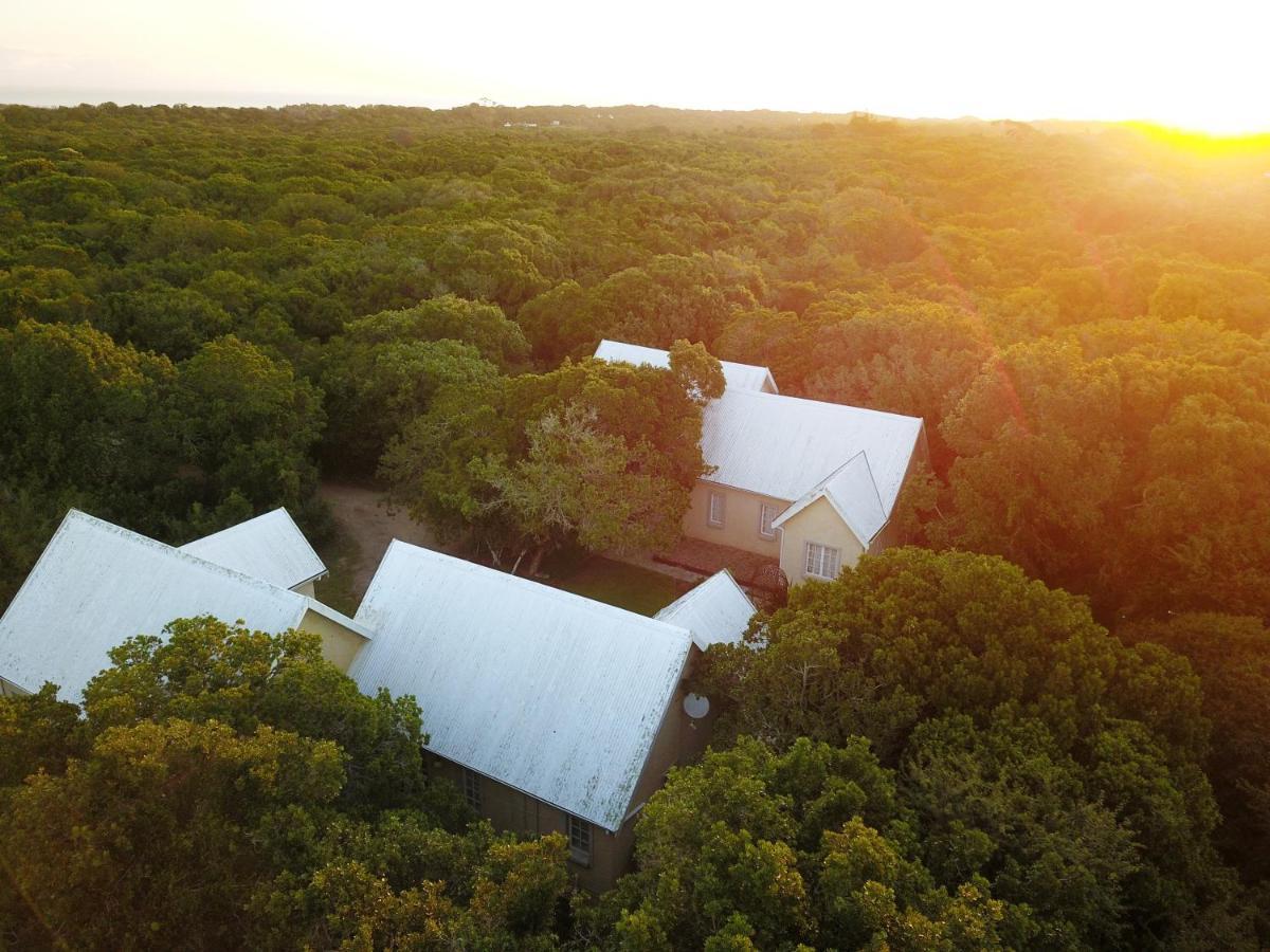 The Plantation Bed and Breakfast Πορτ Ελίζαμπεθ Εξωτερικό φωτογραφία