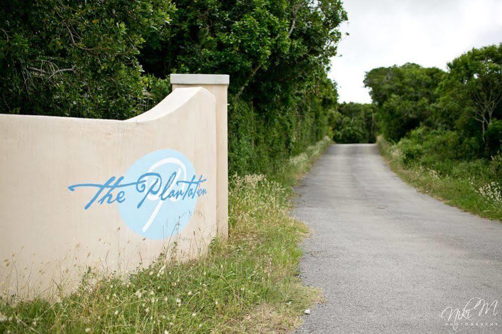 The Plantation Bed and Breakfast Πορτ Ελίζαμπεθ Εξωτερικό φωτογραφία