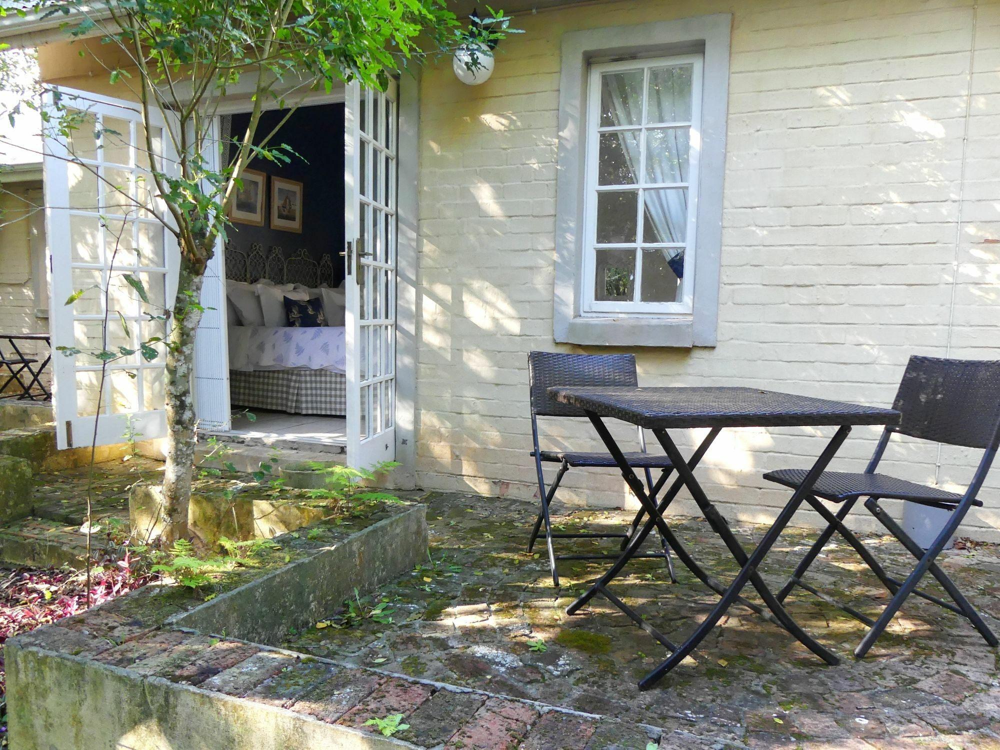 The Plantation Bed and Breakfast Πορτ Ελίζαμπεθ Εξωτερικό φωτογραφία